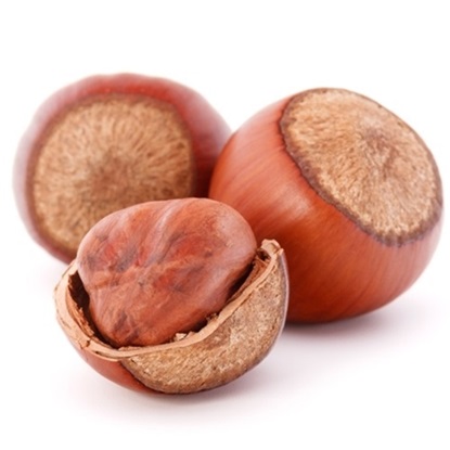 Picture of Hazelnut