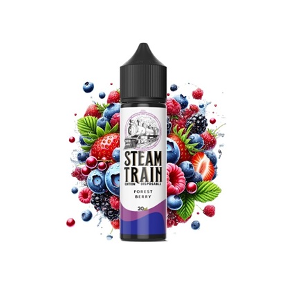 Picture of Steam Train Disposable Edition Forest Berry 20ml/60ml